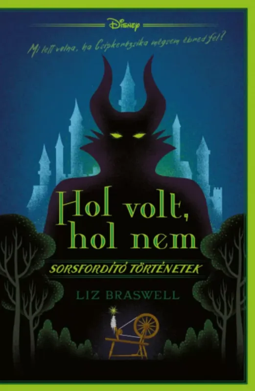 Bestseller Disney - Hol volt, hol nem - Liz Braswell