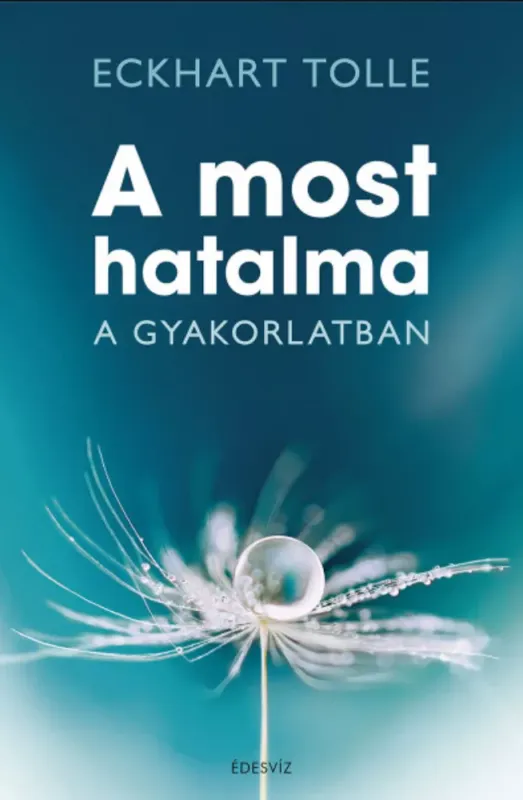 Kedvezmény A most hatalma a gyakorlatban - Eckhart Tolle