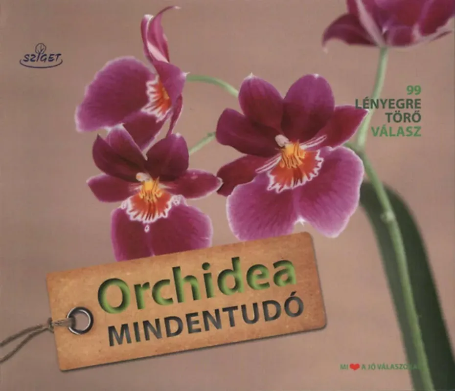 Orchidea mindentudó - Dr. Folko Kullmann Vedd meg online
