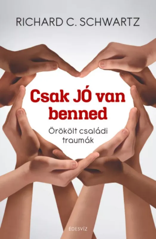 Csak jó van benned - Richard C. Schwartz Nézd meg most