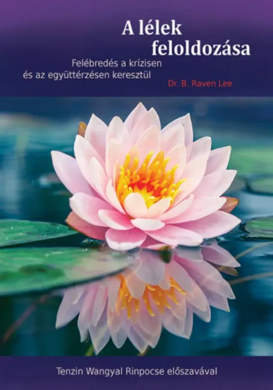 A lélek feloldozása - Dr. B. Raven Lee Alacsony ár