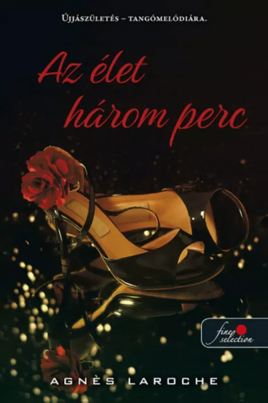 Expressz szállítás Az élet három perc - Agnes Laroche