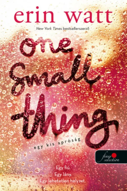 Outlet One Small Thing - Egy kis apróság - Erin Watt