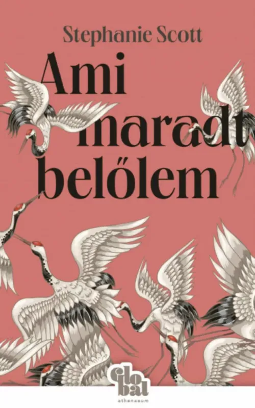 Ami maradt belőlem - Stephanie Scott Akciós ár