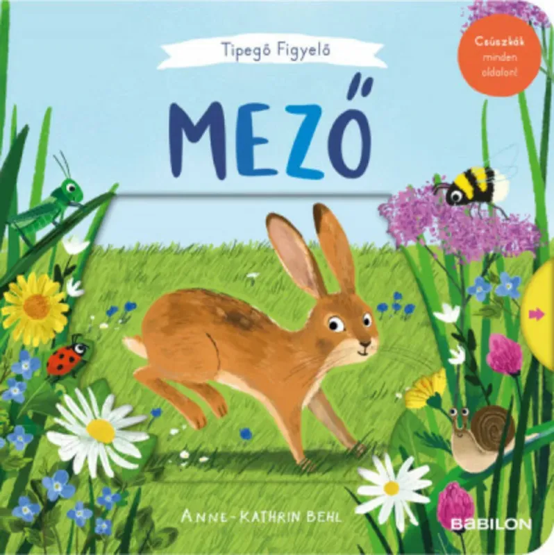 Különleges ajánlat Tipegő figyelő - Mező