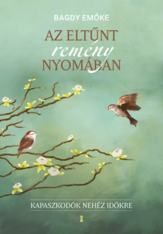 Az eltűnt remény nyomában - Bagdy Emőke Azonnali szállítás