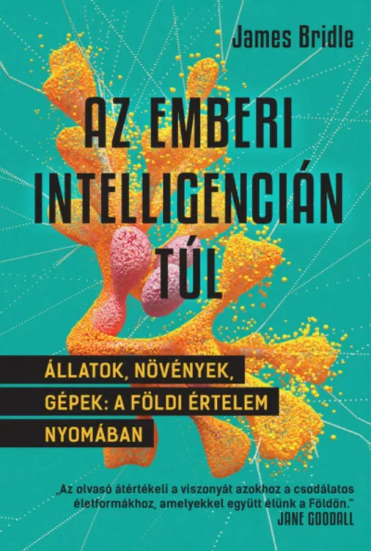 Kiárusítás Az emberi intelligencián túl - James Bridle