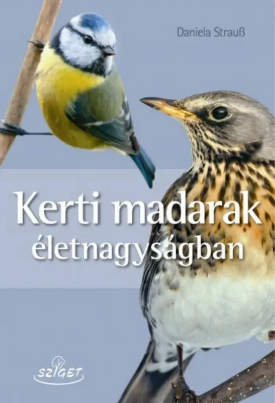 Kerti madarak életnagyságban - Daniela Strauss Azonnali szállítás