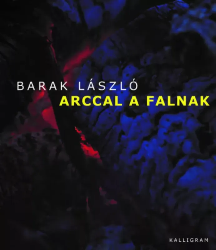 Arccal a falnak - Barak László Kedvezmény