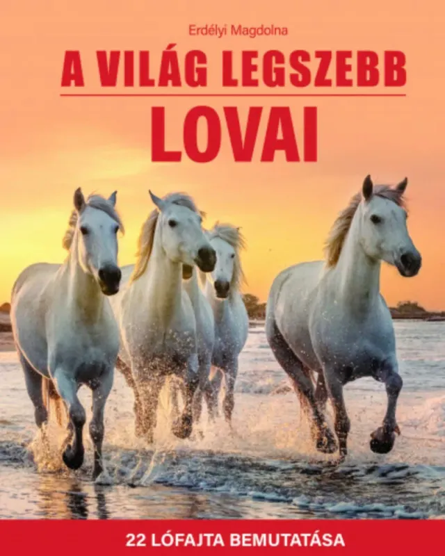 A világ legszebb lovai - Erdélyi Magdolna Kihagyhatatlan ajánlat