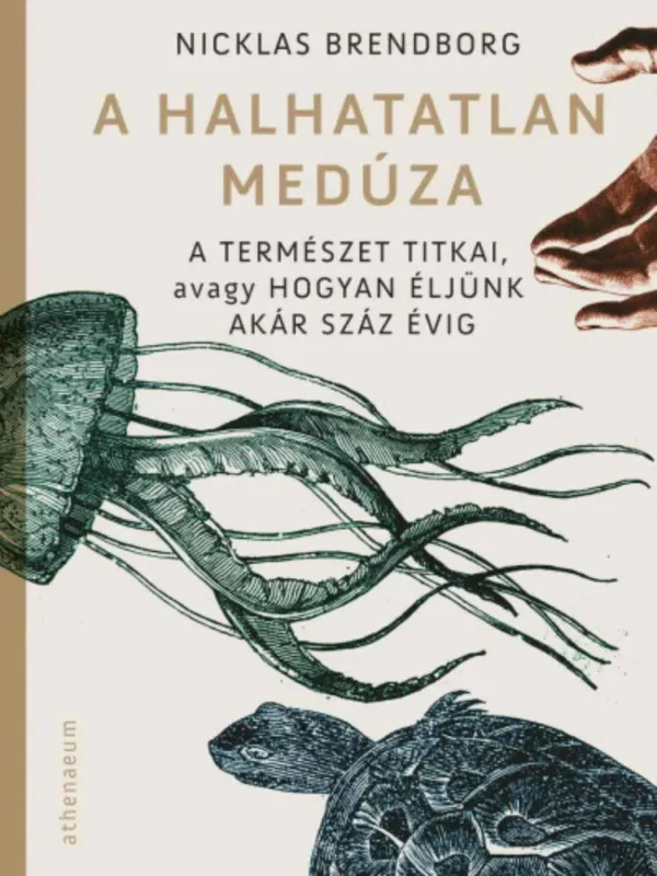 Kedvezményes ár A halhatatlan medúza - A természet titkai, avagy hogyan éljünk akár száz évig - Nicklas Brendborg