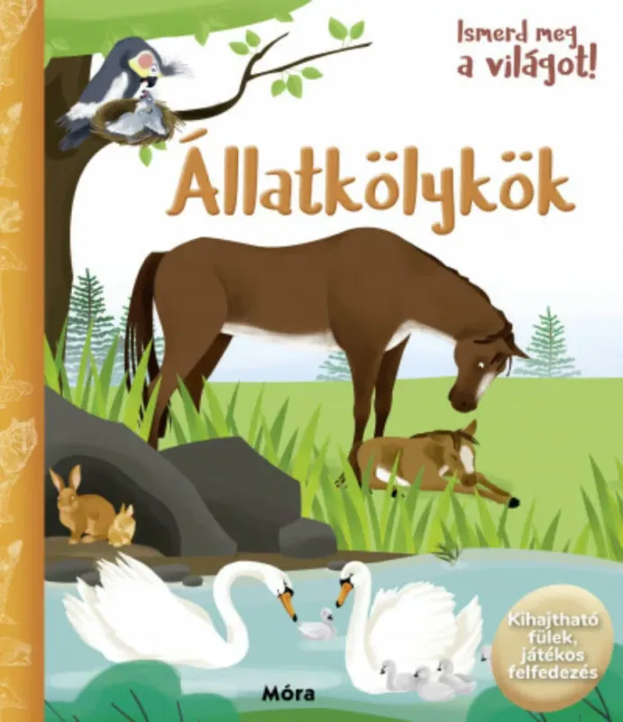 Alacsony ár Ismerd meg a világot! - Állatkölykök