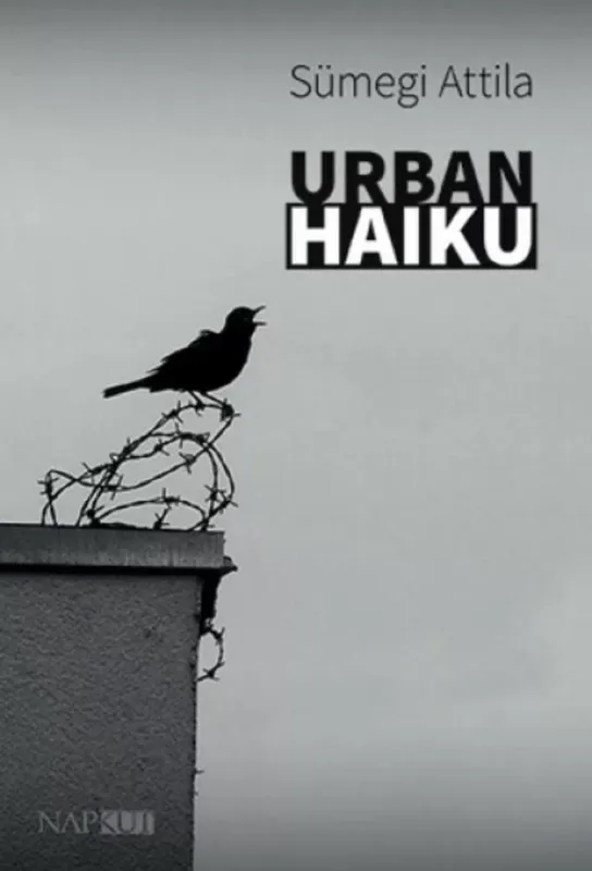 Vásárlói kedvenc Urban haiku - Sümegi Attila