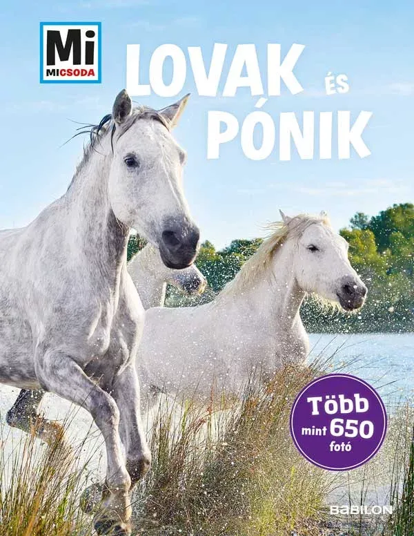 Mi Micsoda - Lovak és pónik - Több mint 650 fotó - Silke Behling Azonnali szállítás