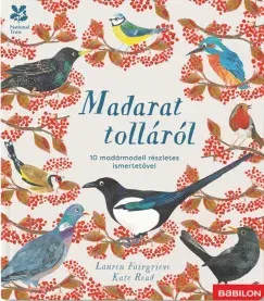 Madarat tolláról - 10 madármodell részletes ismertetővel - Lauren Fairgrieve Szuper akció