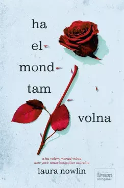 Ha elmondtam volna - Laura Nowlin Végkiárusítás