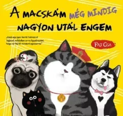 A macskám még mindig nagyon utál engem - Paj Csa Újdonság