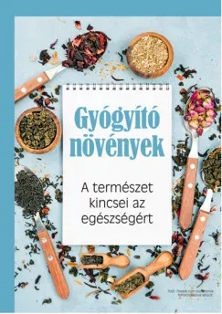 A demencia úttalan útjain - Segítőkönyv demens hozzátartozóval élő családoknak - Farkas Márta Vedd meg most