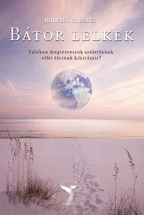 Árcsökkenés BÁTOR LELKEK - VALÓBAN MEGTERVEZZÜK SZÜLETÉSÜNK ELŐTT ÉLETÜNK KIHÍVÁSAIT