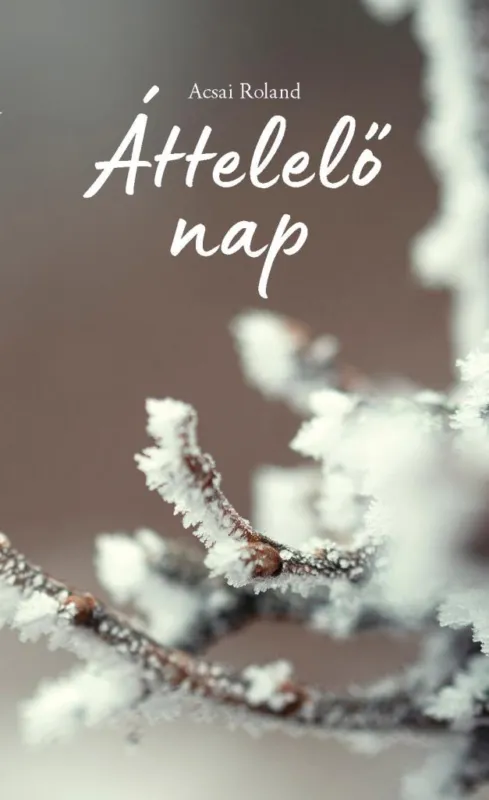 Bestseller ÁTTELELŐ NAP