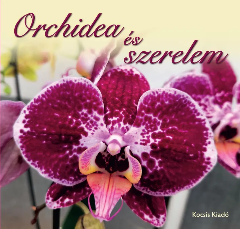 Árengedmény ORCHIDEA ÉS SZERELEM