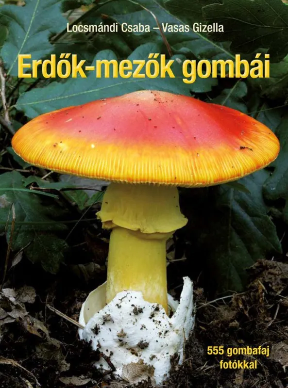Népszerű ERDŐK-MEZŐK GOMBÁI - JAVÍTOTT UTÁNNYOMÁS