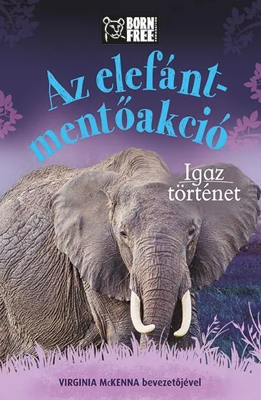 Különleges ajánlat AZ ELEFÁNT-MENTŐAKCIÓ - IGAZ TÖRTÉNET