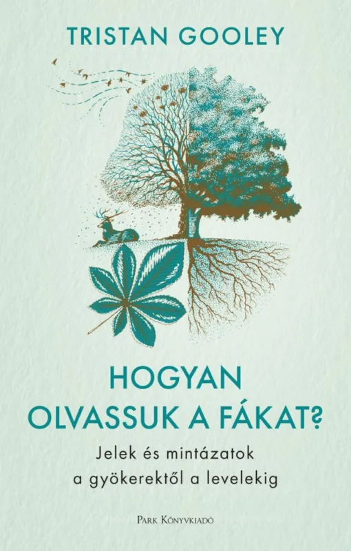Szuper ajánlat HOGYAN OLVASSUK A FÁKAT? - JELEK ÉS MINTÁZATOK A GYÖKEREKTŐL A LEVELEKIG