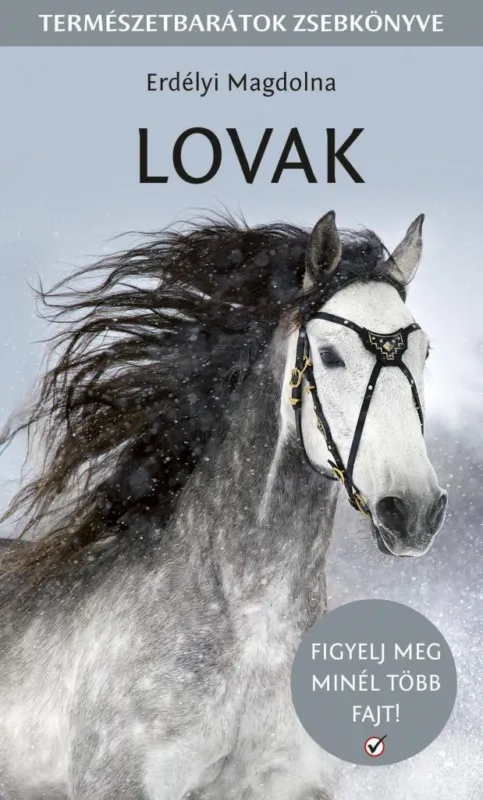 Különleges ajánlat LOVAK - FIGYELJ MEG MINNÉL TÖBB LÓFAJTÁT!