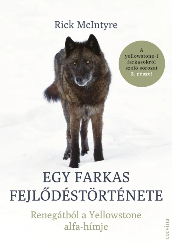 EGY FARKAS FEJLŐDÉSTÖRTÉNETE RENEGÁTBÓL A YELLOWSTONE ALFA-HÍMJE Utolsó esély
