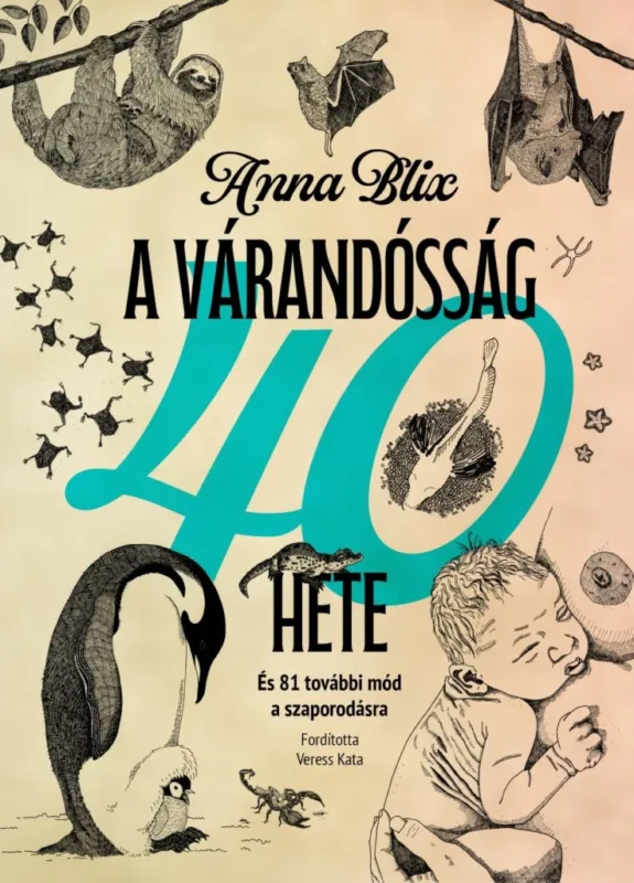 Legkelendőbb A VÁRANDÓSSÁG 40 HETE - ÉS TOVÁBBI MÓD A SZAPORODÁSRA