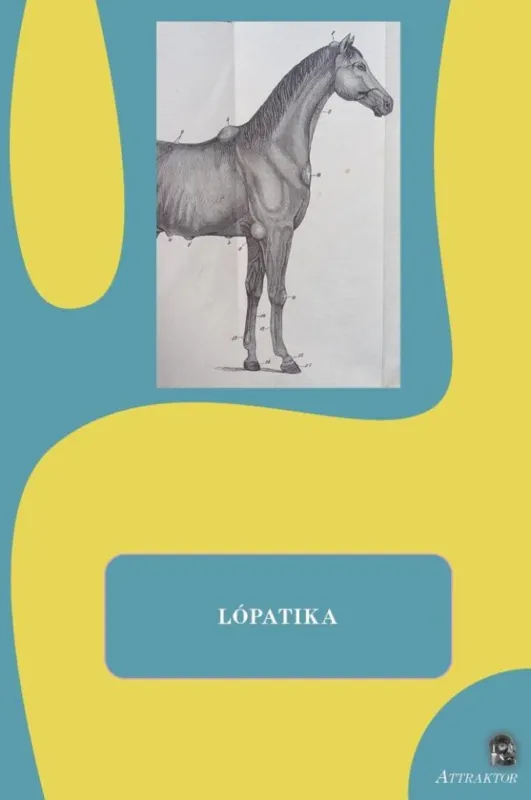 Legnépszerűbb LÓPATIKA