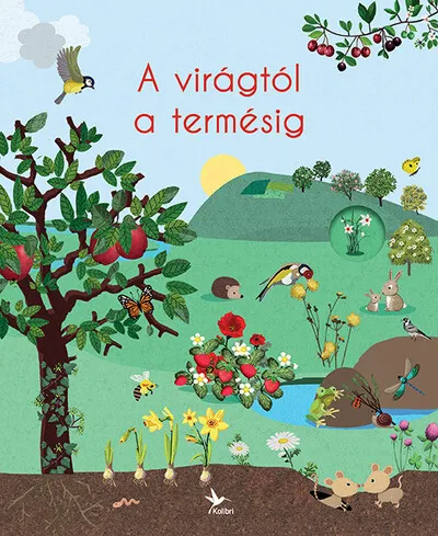 Árengedmény A virágtól a termésig - A természet körforgása