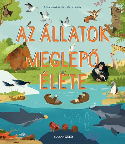 Legnépszerűbb Az állatok meglepő élete