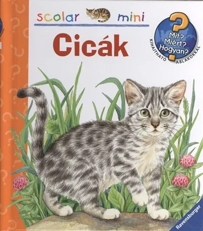 Cicák /Mit? Miért? Hogyan? - Scolar mini 7. Csak ma