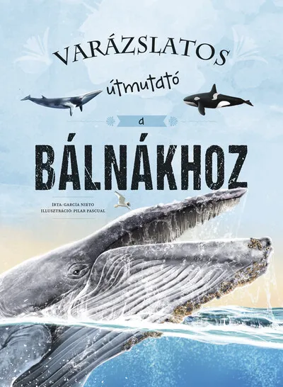 Kedvezmény Varázslatos útmutató a bálnákhoz