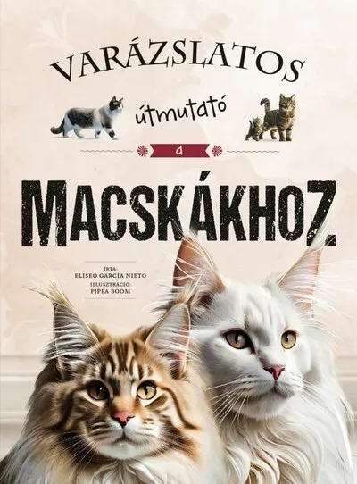 Vedd meg online Varázslatos útmutató a macskákhoz