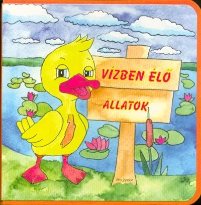Vízben élő állatok /Szivacsos lapozó Akció