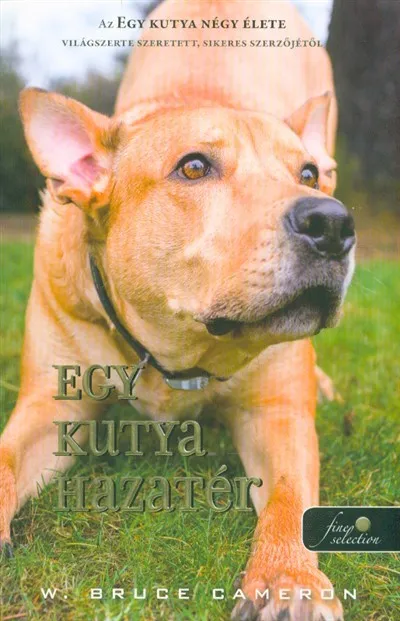 Biztonságos fizetés Egy kutya hazatér