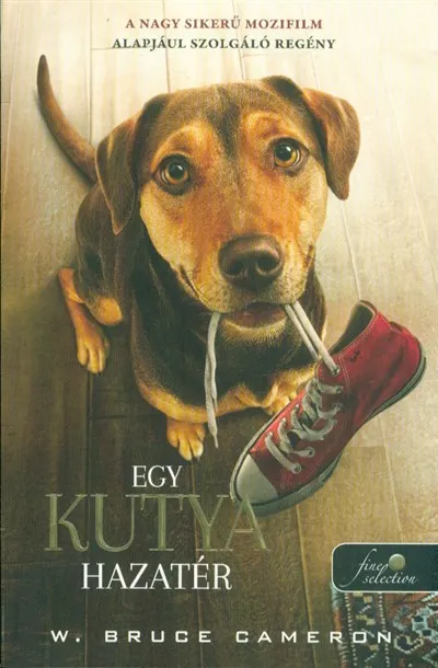 Kedvezmény Egy kutya hazatér - Filmes borító