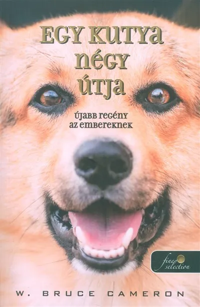 Nézd meg most Egy kutya négy útja