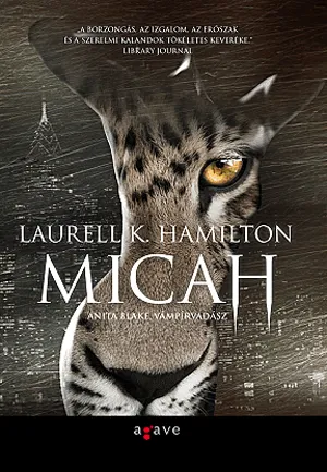Outlet Micah