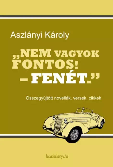 Újdonság Nem vagyok fontos! Fenét... - E-könyv
