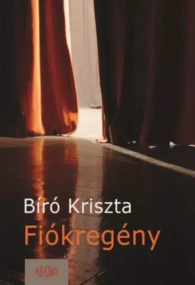 Újdonság Fiókregény - E-könyv