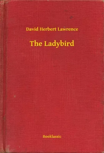Rendeld meg most The Ladybird - E-könyv