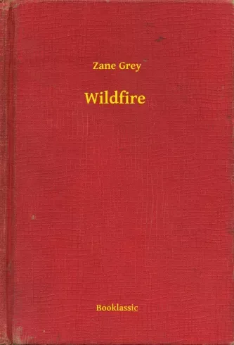 Szuper ajánlat Wildfire - E-könyv