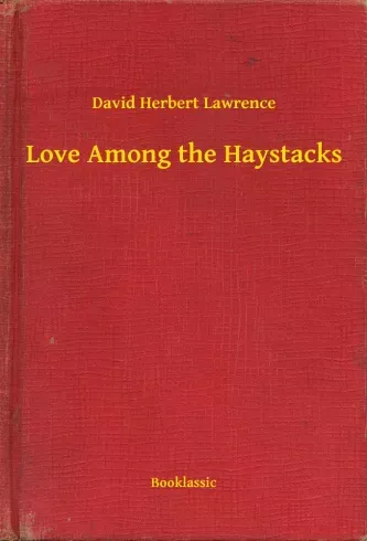 Csak ma Love Among the Haystacks - E-könyv