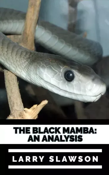 Vedd meg most The Black Mamba - E-könyv