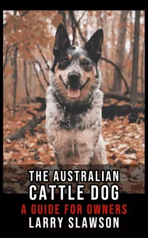 Outlet The Australian Cattle Dog - E-könyv