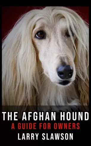 The Afghan Hound - E-könyv Korlátozott ajánlat